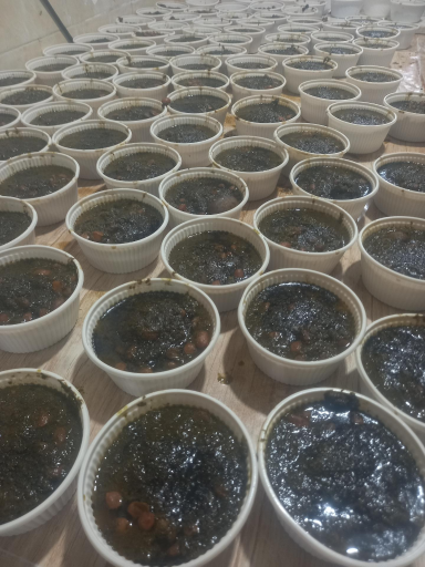 عکس کبابی و غذای آماده محسن