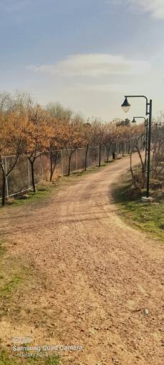 عکس پیاده راه سلامت بهشت