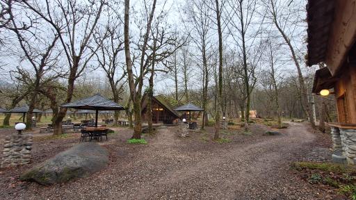 هتل جنگلی چالدره