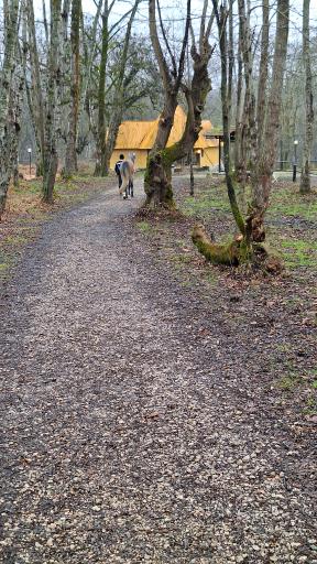 هتل جنگلی چالدره