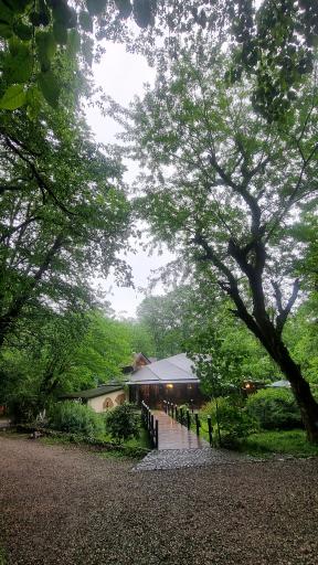 هتل جنگلی چالدره