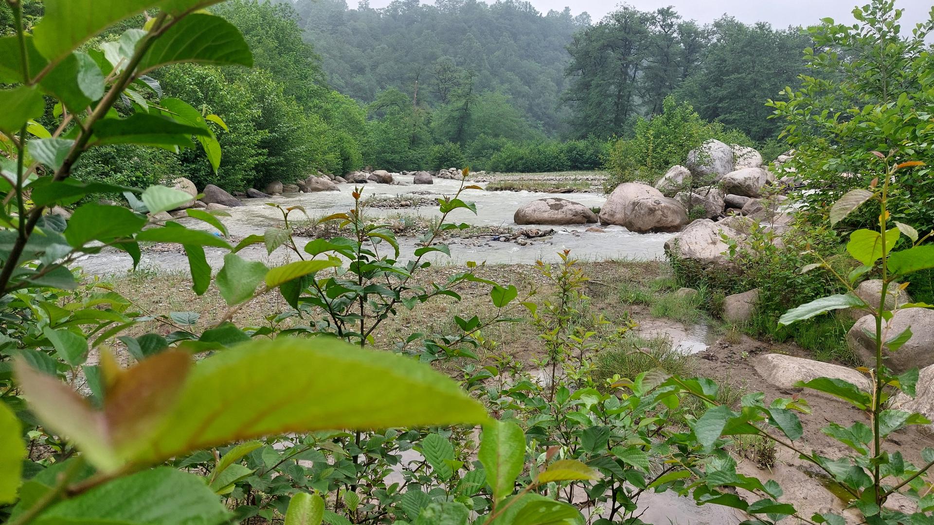 عکس هتل جنگلی چالدره