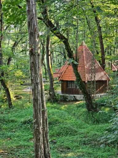 عکس هتل جنگلی چالدره