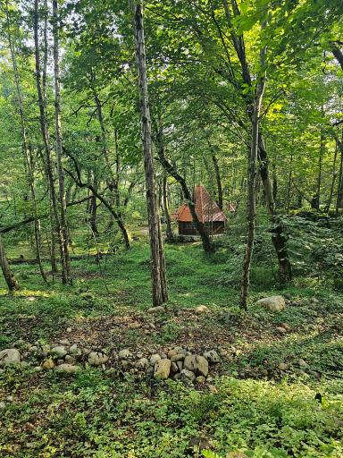 عکس هتل جنگلی چالدره