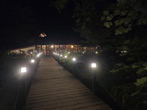 عکس هتل جنگلی چالدره