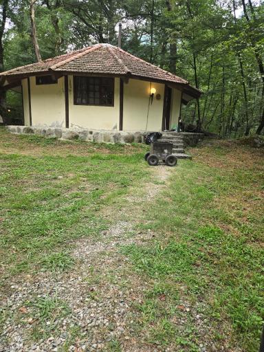 عکس هتل جنگلی چالدره