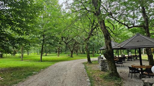 عکس هتل جنگلی چالدره