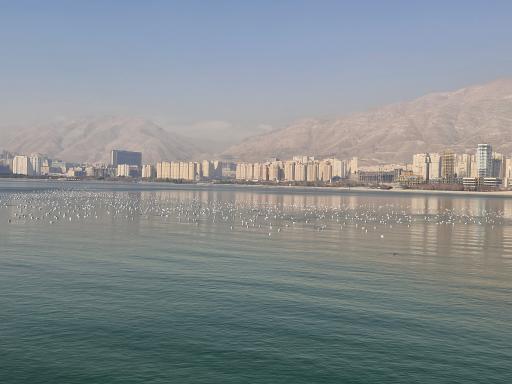 دریاچه خلیج فارس