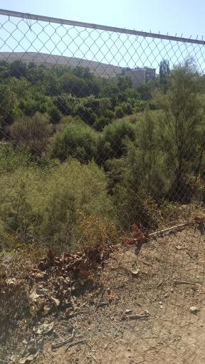 عکس پیاده راه سلامت بهشت