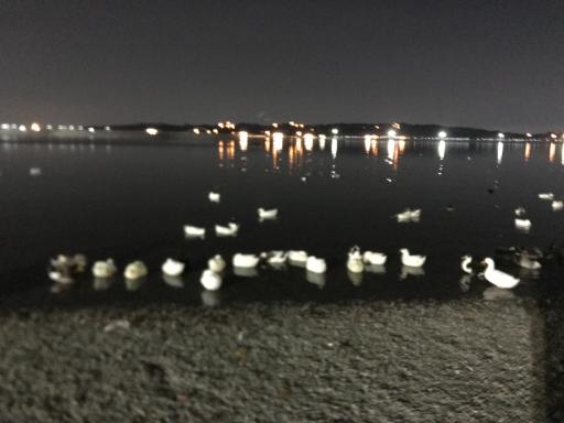 عکس دریاچه خلیج فارس