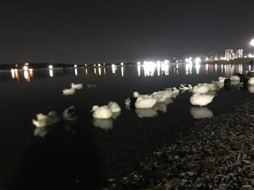 عکس دریاچه خلیج فارس