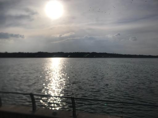 عکس دریاچه خلیج فارس