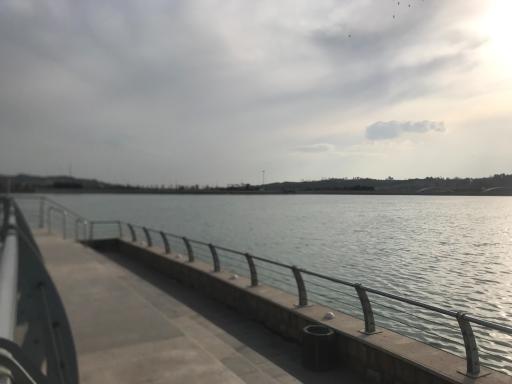 عکس دریاچه خلیج فارس