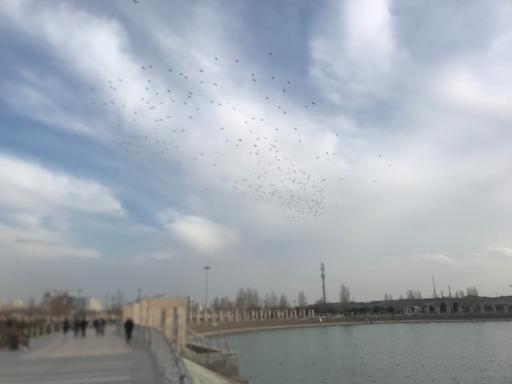 عکس دریاچه خلیج فارس