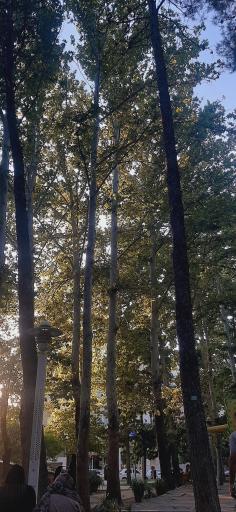 عکس پارک کودک