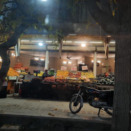 عکس میوه سرای داوری