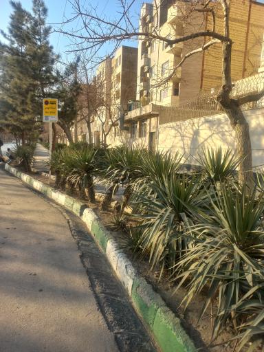 عکس میدان شهید قدوسی 