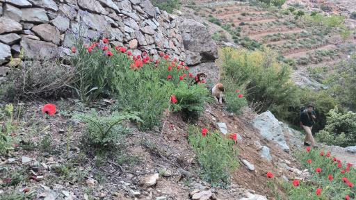 طبیعت دره حصارک و مسیر قله بند عیش