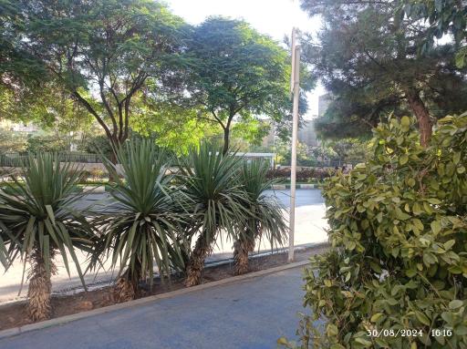 عکس میدان شهید قدوسی 