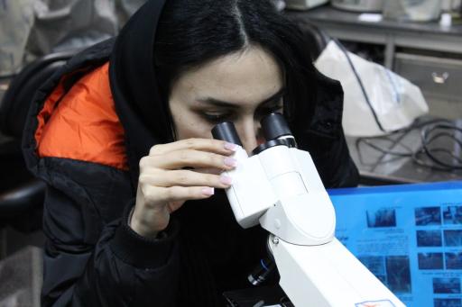 شرکت سم پاشی و دفع حشرات سلامت سم تبریز