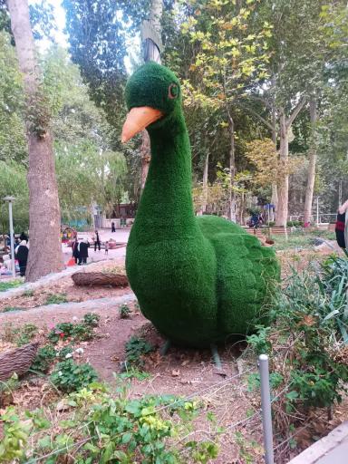 عکس سرچشمه محلات