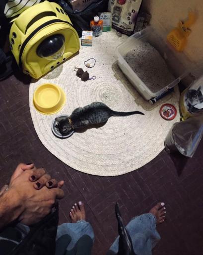 عکس اقامتگاه کاخ ما