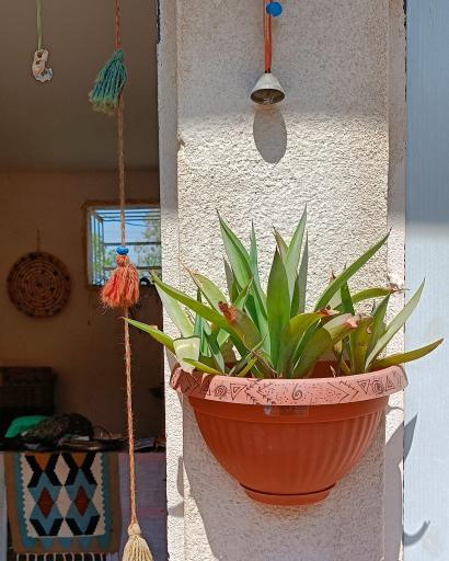 عکس اقامتگاه کاخ ما