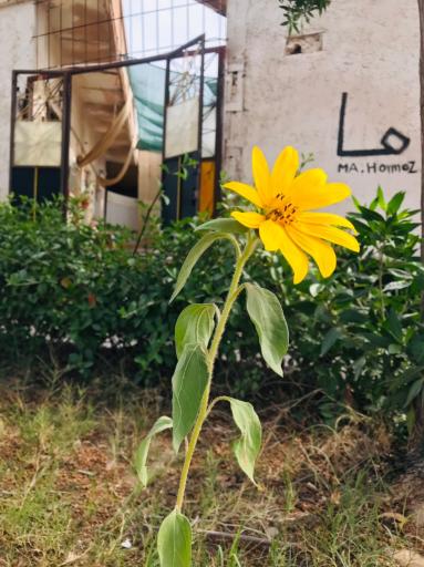 عکس اقامتگاه کاخ ما