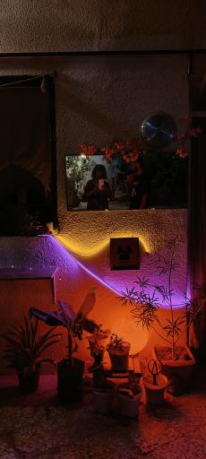 عکس اقامتگاه کاخ ما