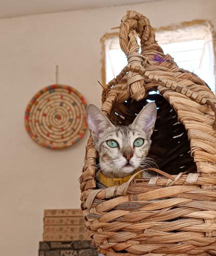 عکس اقامتگاه کاخ ما