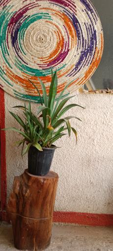 عکس اقامتگاه کاخ ما