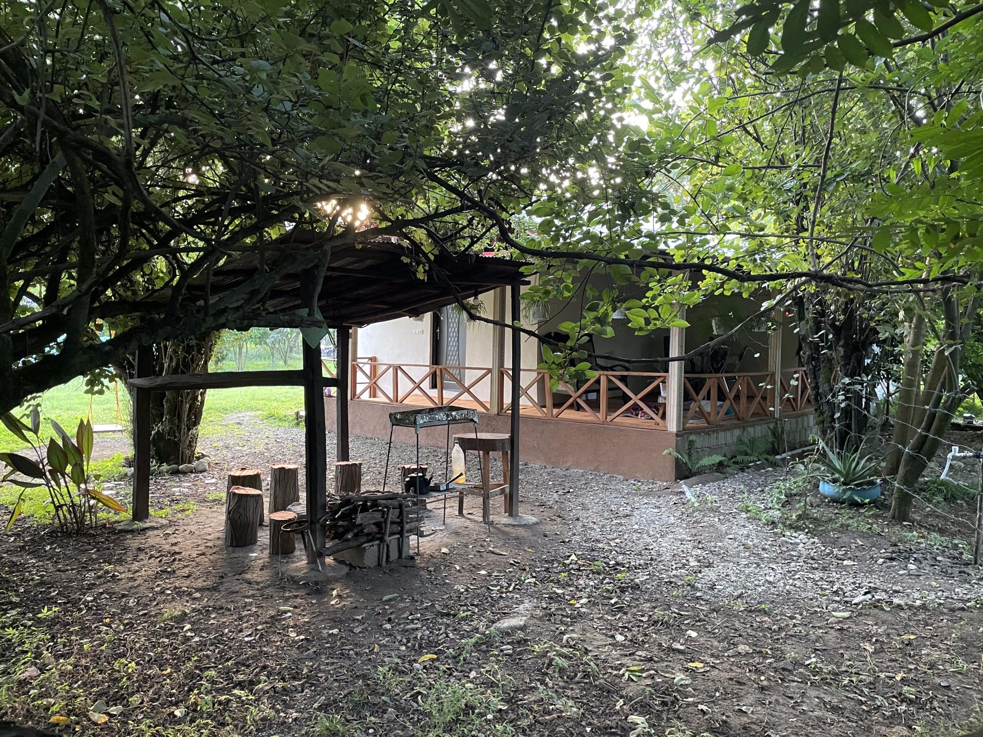 عکس کلبه جنگلی عادل