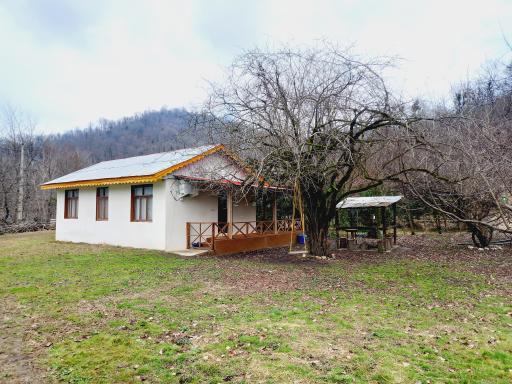 عکس کلبه جنگلی عادل