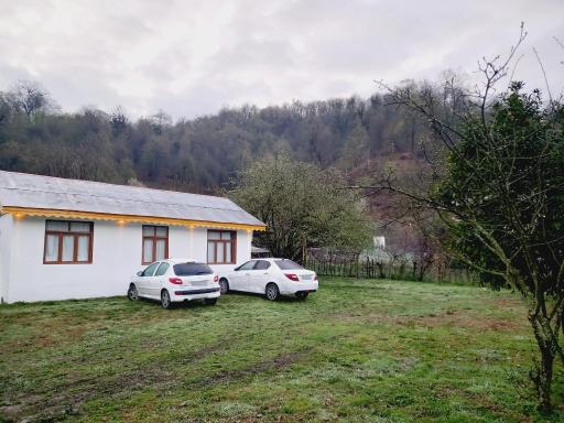 عکس کلبه جنگلی عادل