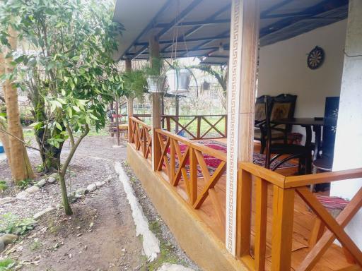 عکس کلبه جنگلی عادل