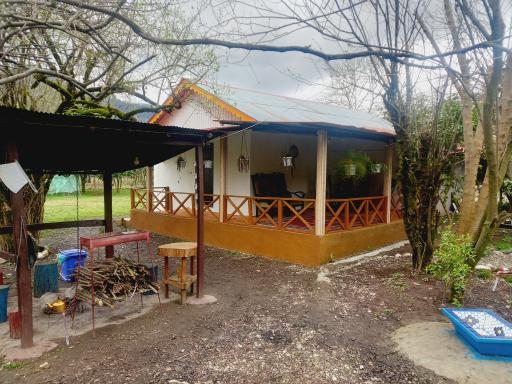 عکس کلبه جنگلی عادل