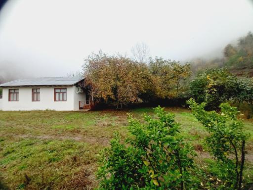 عکس کلبه جنگلی عادل