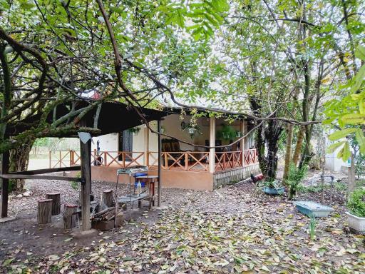 عکس کلبه جنگلی عادل