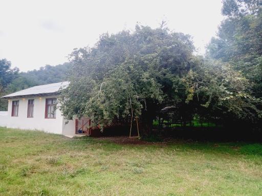 عکس کلبه جنگلی عادل