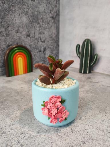 گلفروشی کاکیلنت