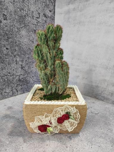 عکس گلفروشی کاکیلنت