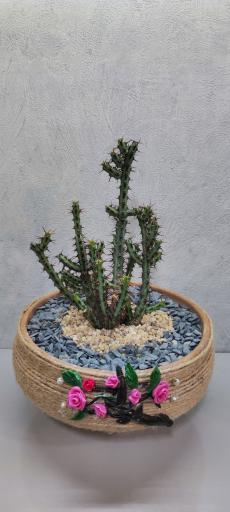 عکس گلفروشی کاکیلنت