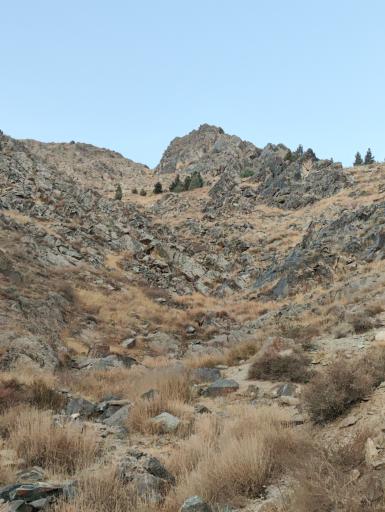 دره دوستی