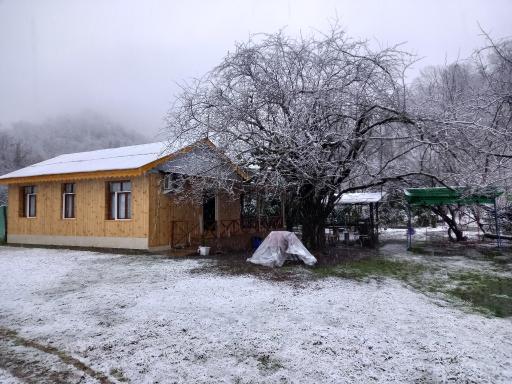 عکس کلبه جنگلی عادل