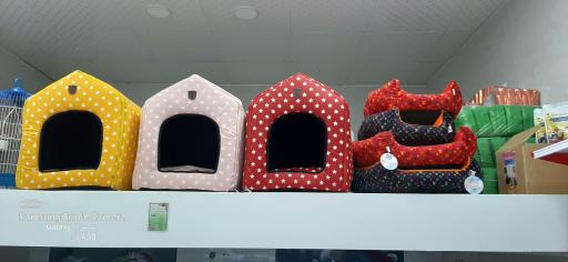 عکس پت شاپ لوسی