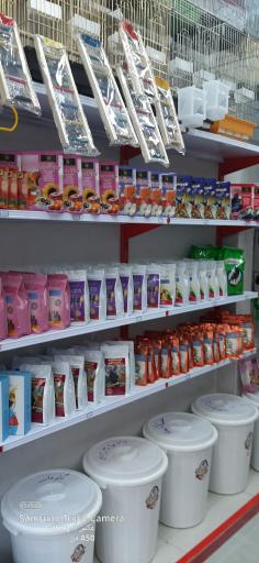 عکس پت شاپ لوسی