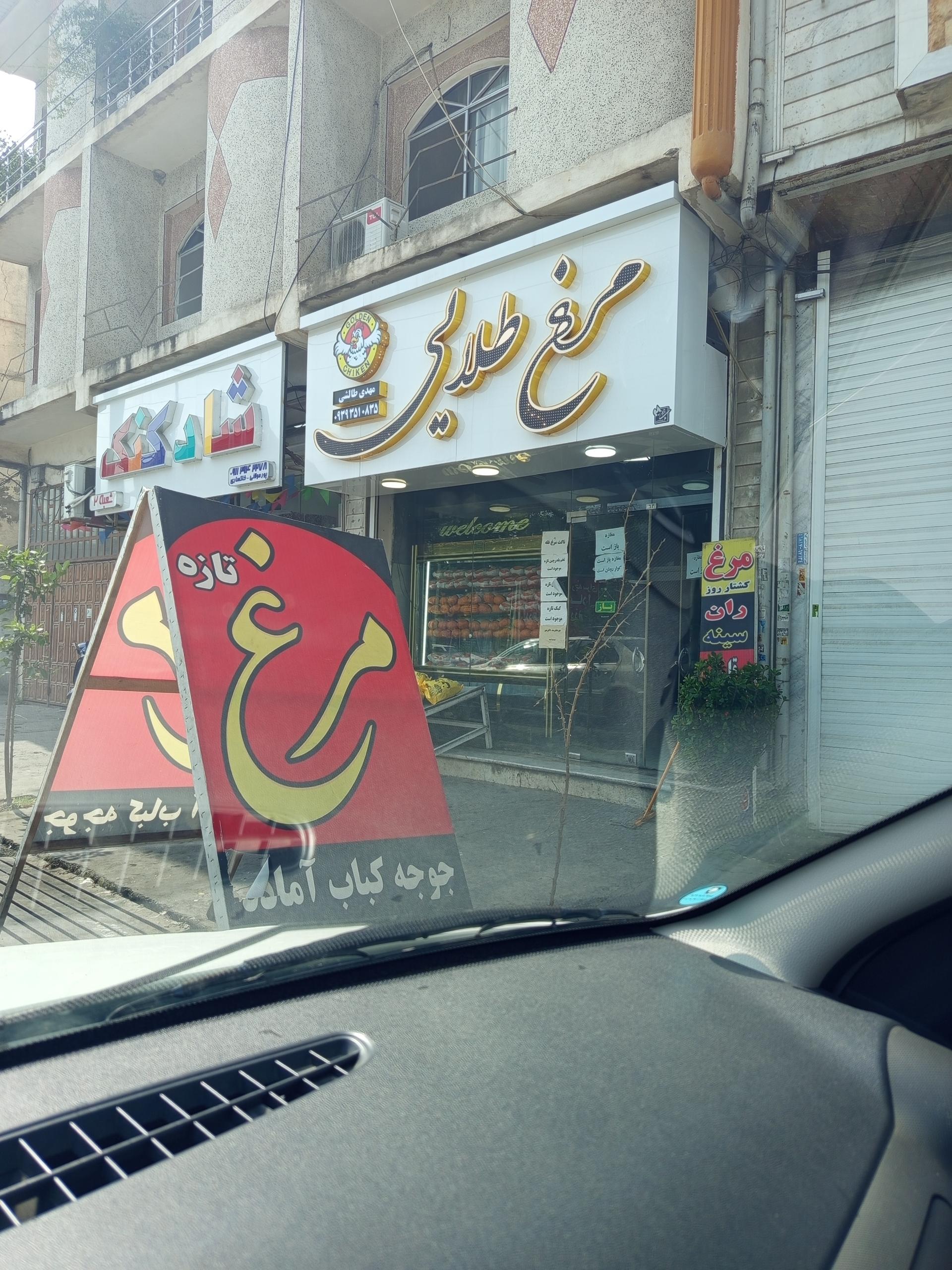 عکس مرغ طلایی