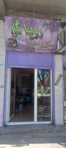 عکس رویا گل 