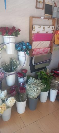 عکس رویا گل 