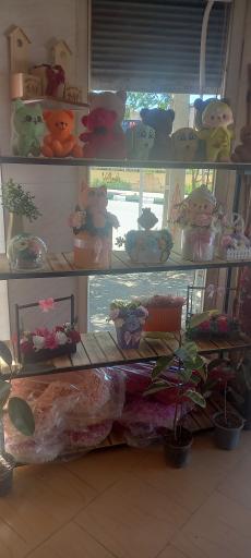 عکس رویا گل 